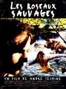 LES ROSEAUX SAUVAGES